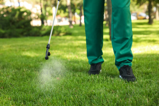 Best Pest Prevention Services  in Kayak Point, WA