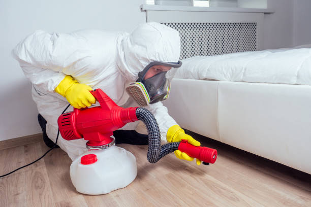 Professional Pest Control in Kayak Point, WA
