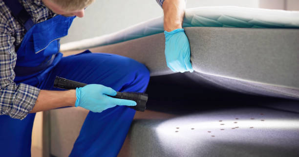 Best Commercial Pest Control Services  in Kayak Point, WA