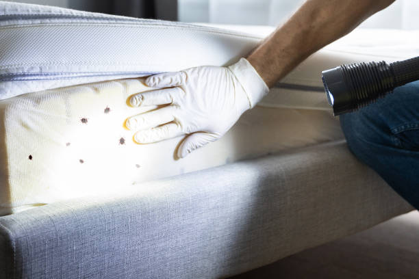 Best Affordable Pest Control Services  in Kayak Point, WA